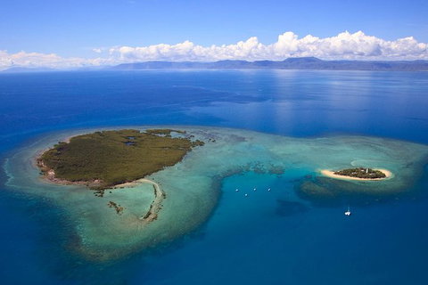 Half Day Low Isles Snorkelling Tour From Port Douglas - Port Augusta Accommodation 4