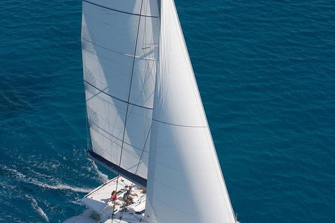 Afternoon Low Isles Snorkeling And Sailing Cruise From Port Douglas - Port Augusta Accommodation 1