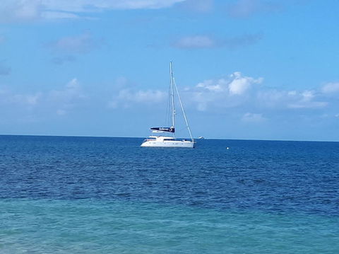 Afternoon Low Isles Snorkeling And Sailing Cruise From Port Douglas - Port Augusta Accommodation 7