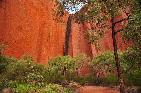 Uluru Sunrise And Guided Base Walk - Port Augusta Accommodation 14