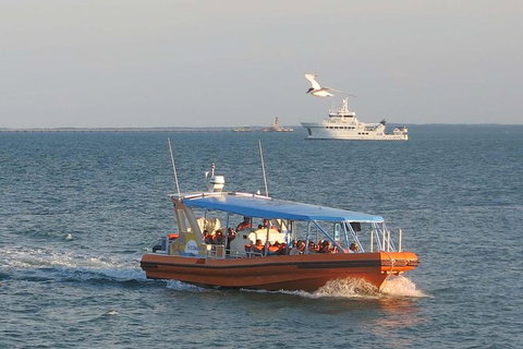 1-Hour Darwin Harbour Highlights Cruise - Port Augusta Accommodation 0