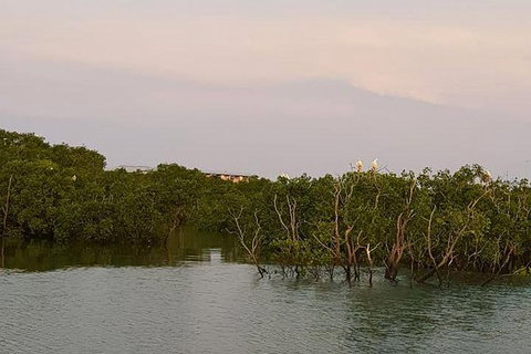 1-Hour Darwin Harbour Highlights Cruise - Port Augusta Accommodation 7