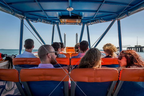 1-Hour Darwin Harbour Highlights Cruise - Port Augusta Accommodation 6