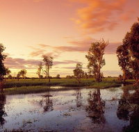 3-Day Kakadu National Park and Arnhem Land Explorer Tour from Darwin - Port Augusta Accommodation