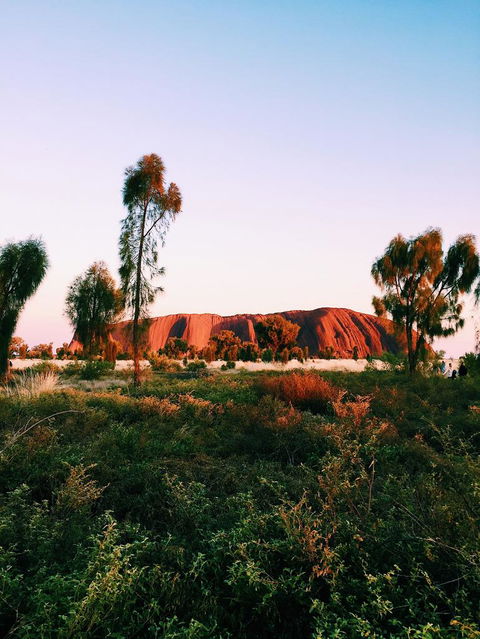 Uluru & Kata Tjuta Sights & Sounds - Port Augusta Accommodation 3
