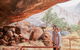 Uluru & Kata Tjuta Sights & Sounds - thumb 18