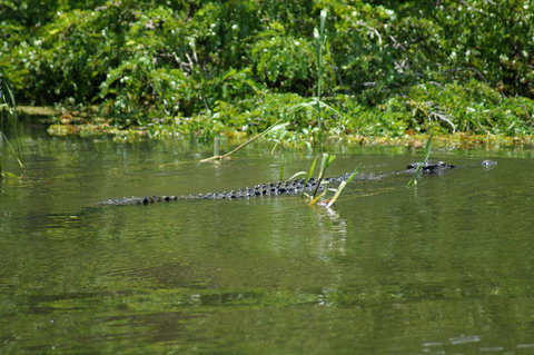 Kakadu, Nourlangie And Yellow Waters Tour From Darwin - Port Augusta Accommodation 4
