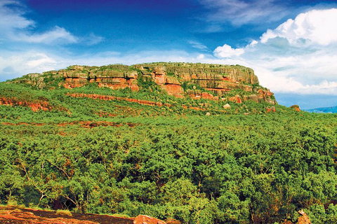 Kakadu, Nourlangie And Yellow Waters Tour From Darwin - Port Augusta Accommodation 1