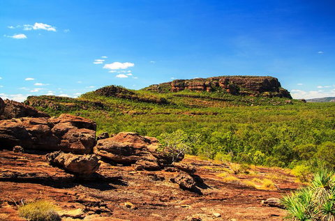 Kakadu, Nourlangie And Yellow Waters Tour From Darwin - Port Augusta Accommodation 34