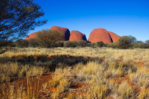 Ayers Rock 4 Tour Combo: Complete Uluru Base Walk At Sunrise, Valley Of The Winds At Sunrise, Kata Tjuta Sunset And Uluru Sunset - Port Augusta Accommodation 12