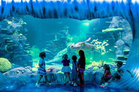SEA LIFE Sydney Aquarium Entrance Ticket - Port Augusta Accommodation 0