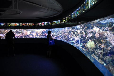 SEA LIFE Sydney Aquarium Entrance Ticket - Port Augusta Accommodation 23