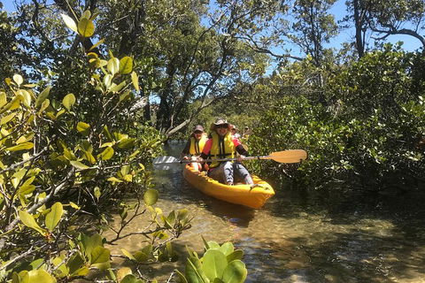 Paddle In Paradise - 4 Hours Double Kayak Hire - Port Augusta Accommodation 1