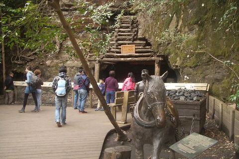 All-Day Blue Mountains Private Tour With Professional Guide For Up To 4 People - Port Augusta Accommodation 9