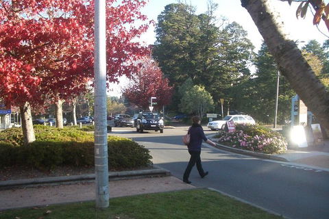 All-Day Blue Mountains Private Tour With Professional Guide For Up To 4 People - Port Augusta Accommodation 12