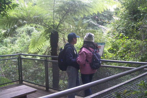 All-Day Blue Mountains Private Tour With Professional Guide For Up To 4 People - Port Augusta Accommodation 19