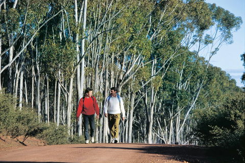Arthur River - Port Augusta Accommodation 0