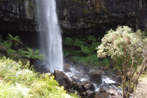 Bindaree Falls - Port Augusta Accommodation 1