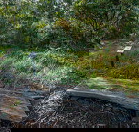 Browns Forest Loop Trail - Port Augusta Accommodation