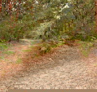 Daleys Point Walking Track