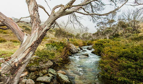 Dead Horse Gap Walking Track - Port Augusta Accommodation 0
