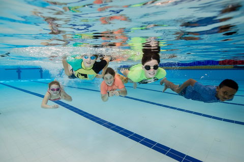 East Maitland Aquatic Centre - Port Augusta Accommodation 1