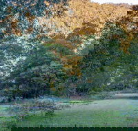 Griffins walking track - Port Augusta Accommodation