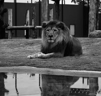 Hunter Valley Zoo - Port Augusta Accommodation