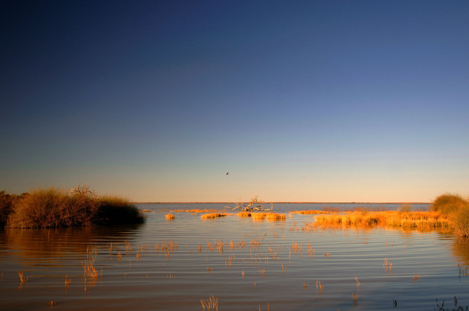 Innamincka SA Port Augusta Accommodation