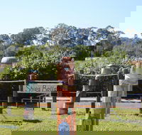 Maryboroughs Bollards - Port Augusta Accommodation
