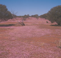 Meekatharra - Port Augusta Accommodation