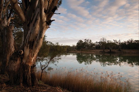 Murray-Kulkyne Regional Park - Port Augusta Accommodation 0