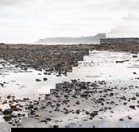 Mushroom Reef Beach