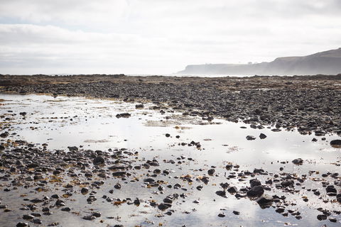 Mushroom Reef Beach - Port Augusta Accommodation 0