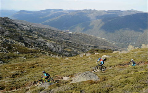 Thredbo Mountain Biking - Port Augusta Accommodation 0