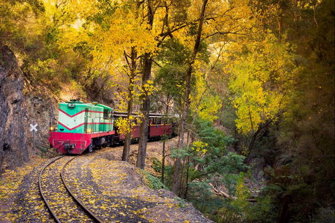 Walhalla Goldfields Railway - Port Augusta Accommodation 2