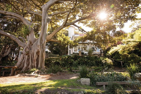 Wendy Whiteley's Secret Garden - Port Augusta Accommodation 0