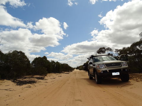 Wyperfeld National Park - Port Augusta Accommodation 1