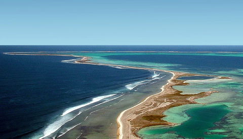 Abrolhos Islands - Port Augusta Accommodation 1