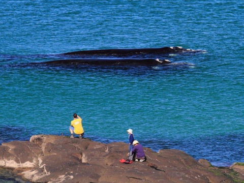 Broulee Island Nature Reserve Walk - Port Augusta Accommodation 1