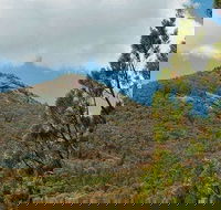 Burrowa-Pine Mountain National Park - Port Augusta Accommodation