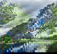 Gold Coast Regional Botanic Gardens - Port Augusta Accommodation