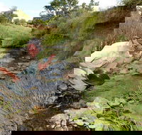 Gold Panning Deep Creek - Port Augusta Accommodation