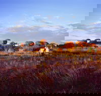 Karlu Karlu / Devils Marbles Conservation Reserve - Port Augusta Accommodation