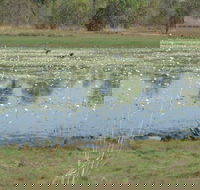 Leaning Tree Lagoon Nature Park - Port Augusta Accommodation