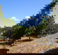 MacNuts WA Shop and Factory - Port Augusta Accommodation