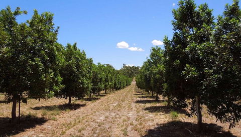 MacNuts WA Shop And Factory - Port Augusta Accommodation 0