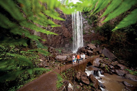 Queen Mary Falls Circuit, Main Range National Park - Port Augusta Accommodation 0