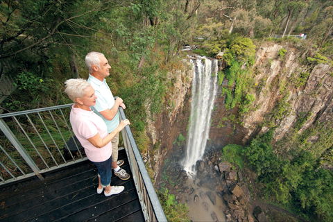 Queen Mary Falls Circuit, Main Range National Park - Port Augusta Accommodation 1