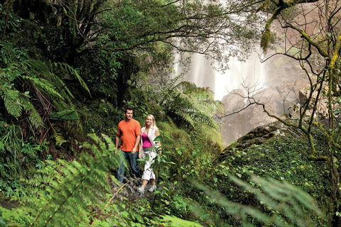 Queen Mary Falls Circuit, Main Range National Park - Port Augusta Accommodation 2